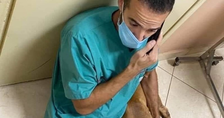 Ο κτηνίατρος που έσωσε τον φρικτά βασανισμένο σκύλο στα Χανιά: «Τον χειρούργησε αφιλοκερδώς»