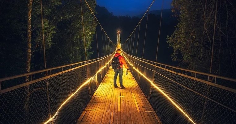 Τοπίο από παραμύθι: Μια γέφυρα από φως μάς προσκαλεί στην καρδιά ενός πυκνού δάσους