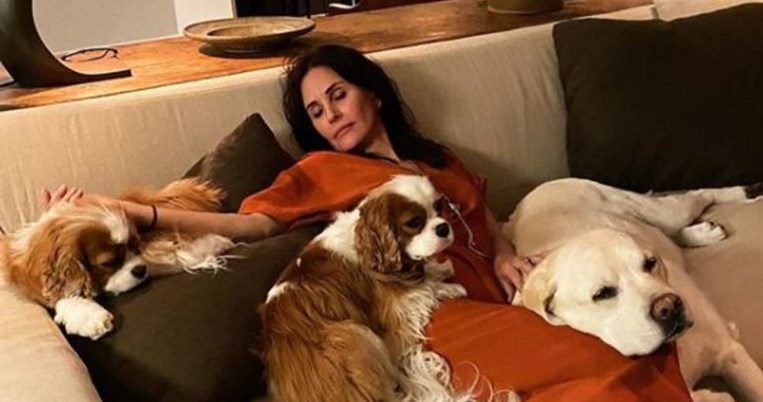 Η Kόρτνεϊ Κοξ αναβίωσε τον ρόλο της στο θρυλικό Scream, κόβοντας πολύ κοντές τις αφέλειες της