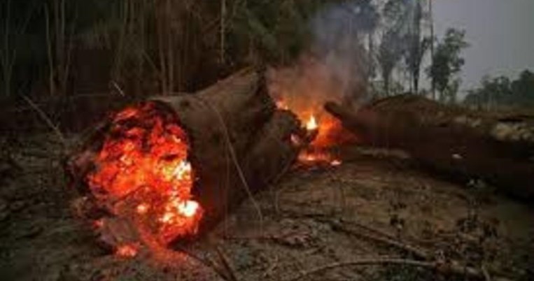 Και ο Αμαζόνιος συνεχίζει να φλέγεται: Ο πνεύμονας της γης νοσεί 