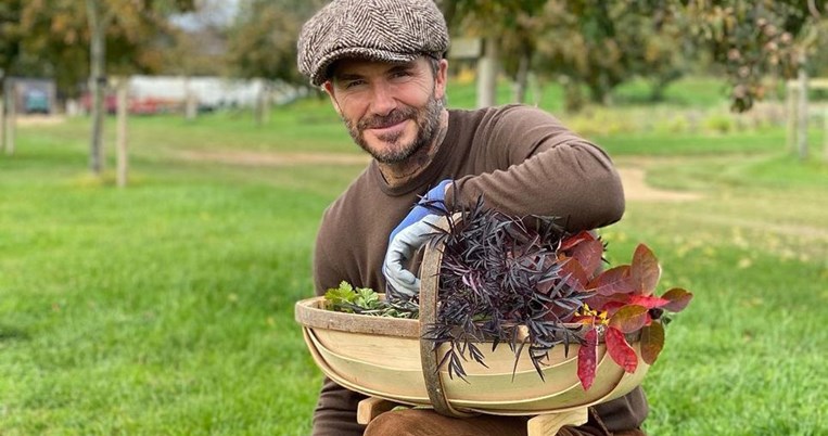 Ο Ντέιβιντ Μπέκαμ λατρεύει τη Χάρπερ: Το νέο, τρυφερό στιγμιότυπο μπαμπά και κόρης