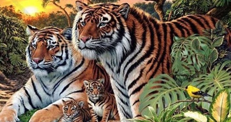 Πόσες τίγρεις κρύβονται στην εικόνα; Ο νέος γρίφος που σαρώνει στο Internet
