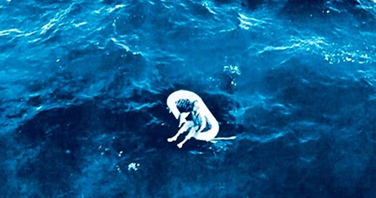 Το εφιαλτικό μυστικό του 11χρονου κοριτσιού που βρέθηκε να επιπλέει ολομόναχο στη μέση του ωκεανού