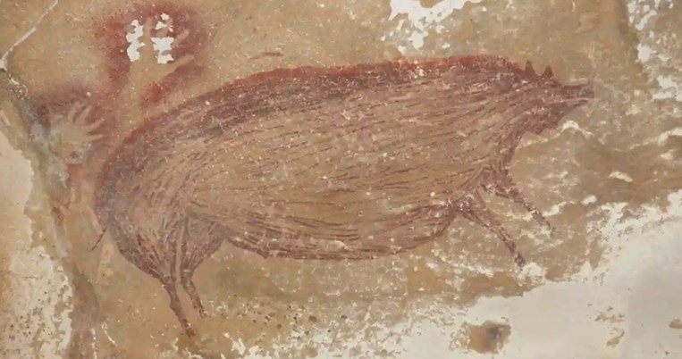 Aνακαλύφθηκε η αρχαιότερη ζωγραφιά ζώου στον κόσμο στην Ινδονησία. Έχει ηλικία 45.500 έτη