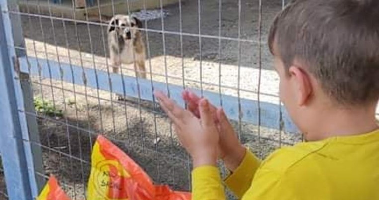 Ο 7χρονος Δημήτρης από τη Σύρο δώρισε όλο το χαρτζιλίκι των γιορτών σε καταφύγιο αδέσποτων ζώων