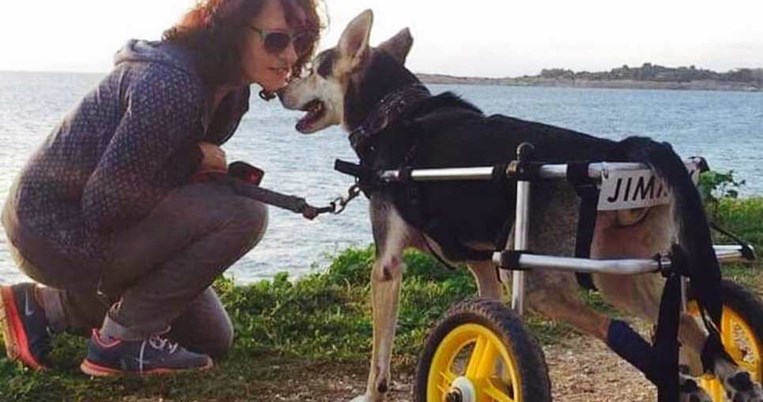 Η ιστορία του χαρούμενου Τζίμη, του σκύλου που γιορτάζει τη ζωή με το αναπηρικό του αμαξίδιο 