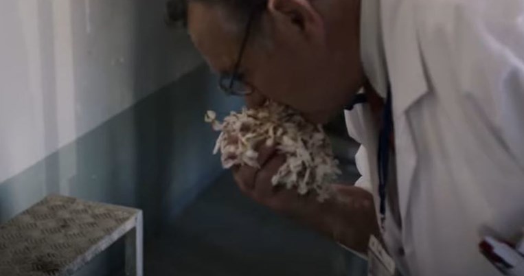 Το νέο film του οίκου Dior αποκαλύπτει τα μυστικά ενός εξαιρετικού αρώματος