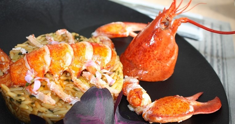 Τα «ταξίδια» των θαλασσινών μεζέδων στα νότια προάστια 