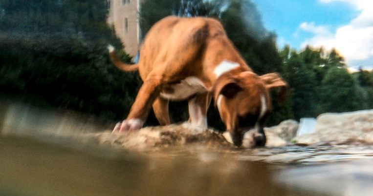 7 πανεύκολα κόλπα για να βγάζεις υπέροχες φωτογραφίες με το smartphone σου