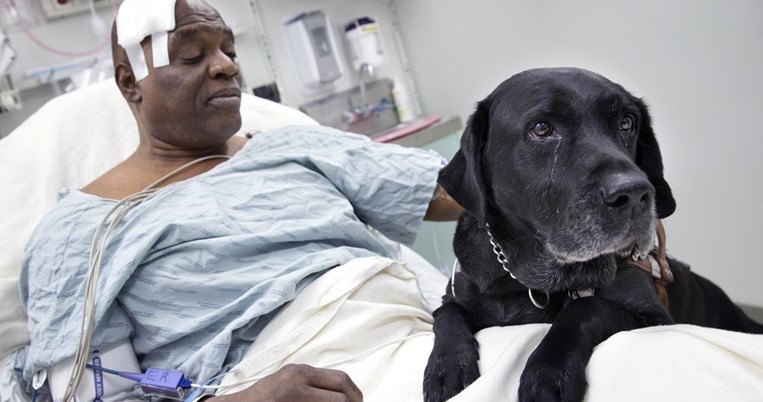 Παγκόσμια πρωτιά. Σε αυτό το νοσοκομείο τα κατοικίδια επισκέπτονται τους άρρωστους ιδιοκτήτες τους