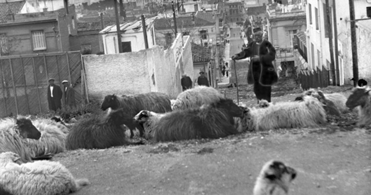 Ο Μπύθουλας της Μαντάμ Σουσούς και οι Ποδαράδες του Παντελίδη