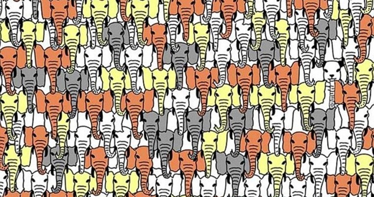 Το πιο viral κουίζ επιστρέφει: Μπορείς να βρεις το κρυμμένο πάντα ανάμεσα στους ελέφαντες; 