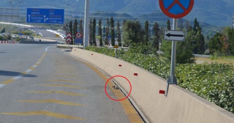 Έκλεισαν δύο λωρίδες της γέφυρας Ρίου-Αντιρρίου για να σώσουν ένα γατάκι