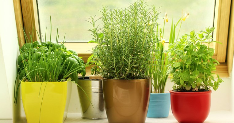 15 υπέροχες ιδέες για εσωτερικό κήπο μυρωδικών