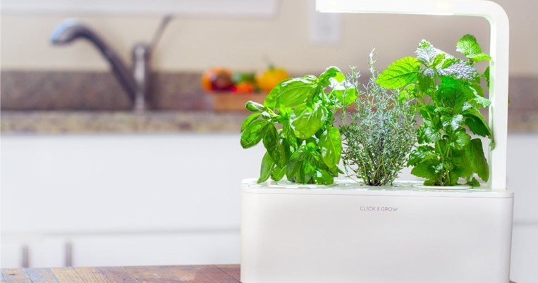 Click and Grow: Ένας λαχανόκηπος (από το μέλλον) στην κουζίνα μας. Η καλλιέργεια είναι αγχολυτική 