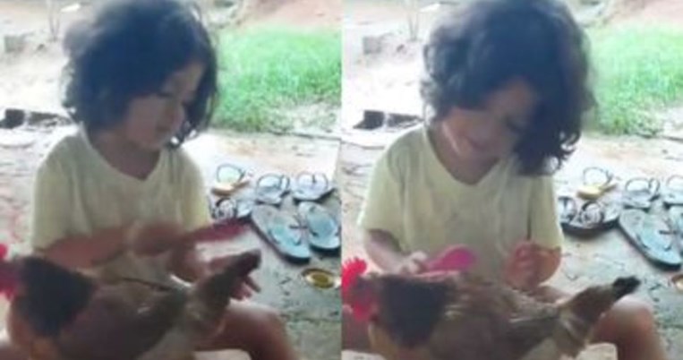 Ένα μικρό κοριτσάκι κάνει beauty make over στην κότα του