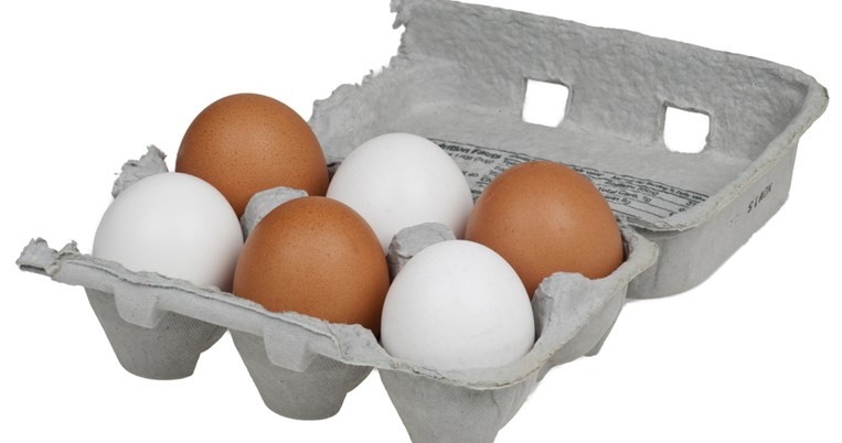 Γιατί μερικά αυγά είναι λευκά και μερικά καφέ;