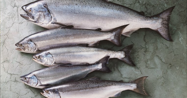 Aυτός είναι ο πιο γρήγορος και ασφαλής τρόπος να ξεπαγώσετε το κρέας ή το ψάρι