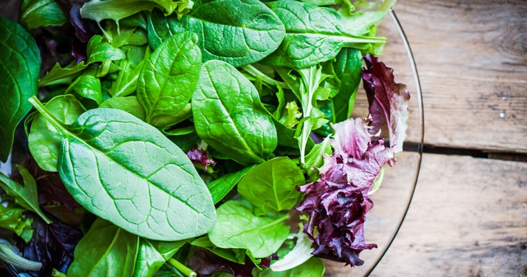 Σαλμονέλα και e-coli μπορεί να κρύβουν οι συσκευασμένες σαλάτες