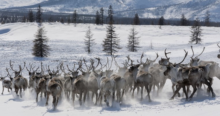 Russian Leather: Γιατί οι ρώσοι έχουν τρελαθεί με αυτό το άρωμα; 