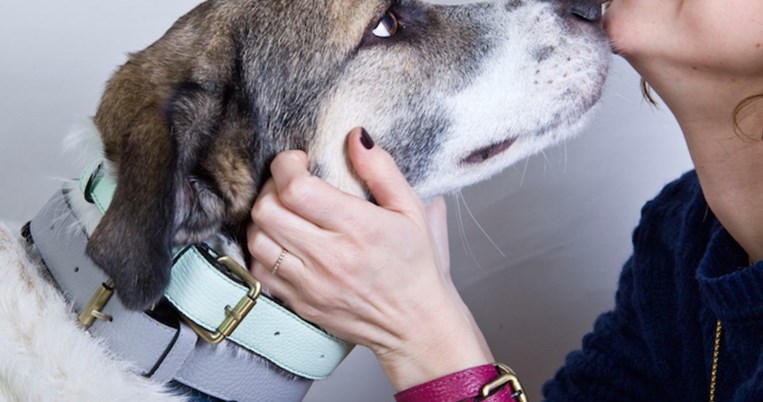 Η Παυλίνα, ο Geppetto και τα χρωματιστά δερμάτινα λουράκια: Μια ιστορία τρελής αγάπης  