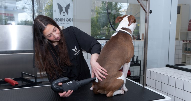 Το τέλειο κομμωτήριο για σκύλους βρίσκεται στο Χαλάνδρι