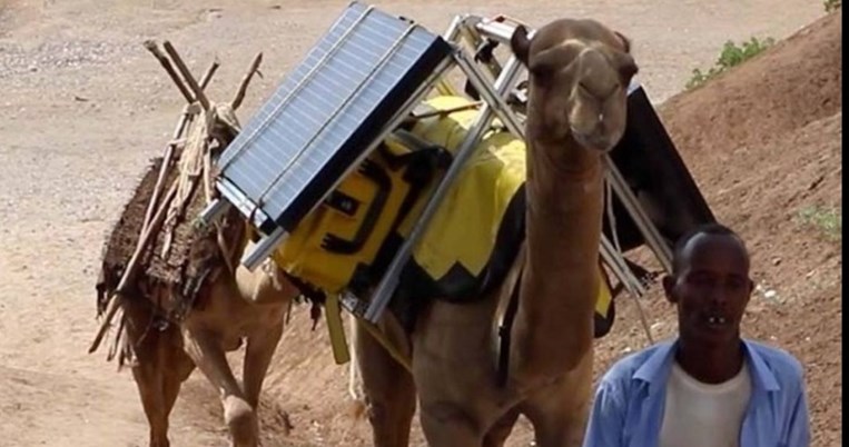 Τετράποδη βιβλιοθήκη: Όταν οι καμήλες μεταφέρουν τάμπλετ για τα παιδιά
