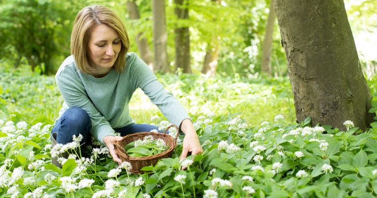 Με τα χόρτα της άνοιξης