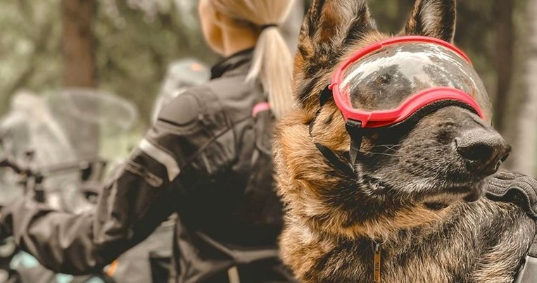 Τζες και Μόξι, γυρίζουν τον κόσμο