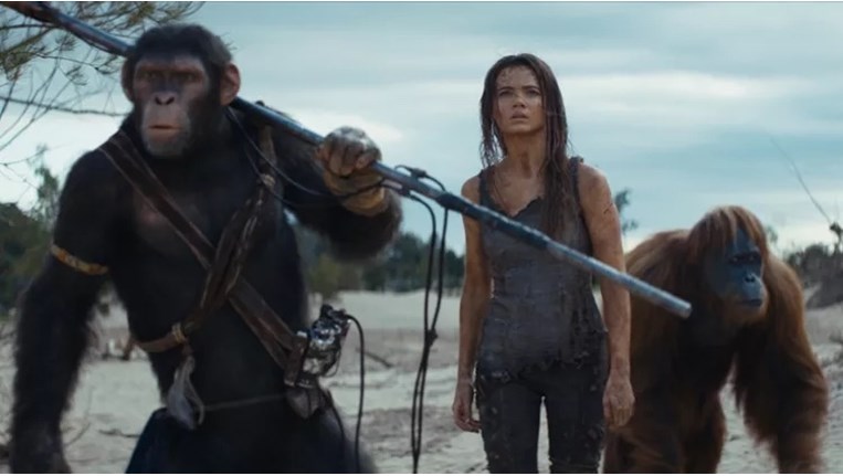 το βασίλειο των πιθήκων