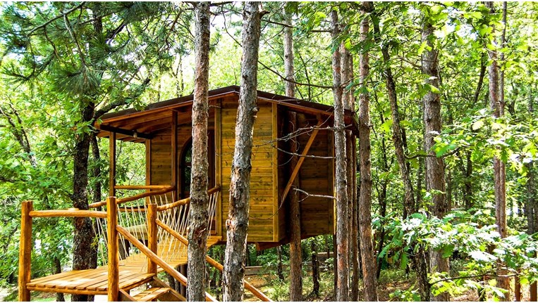 δεντρόσπιτο χαλικιδική