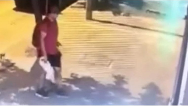 φόνος γατάκι Θεσσαλονίκη