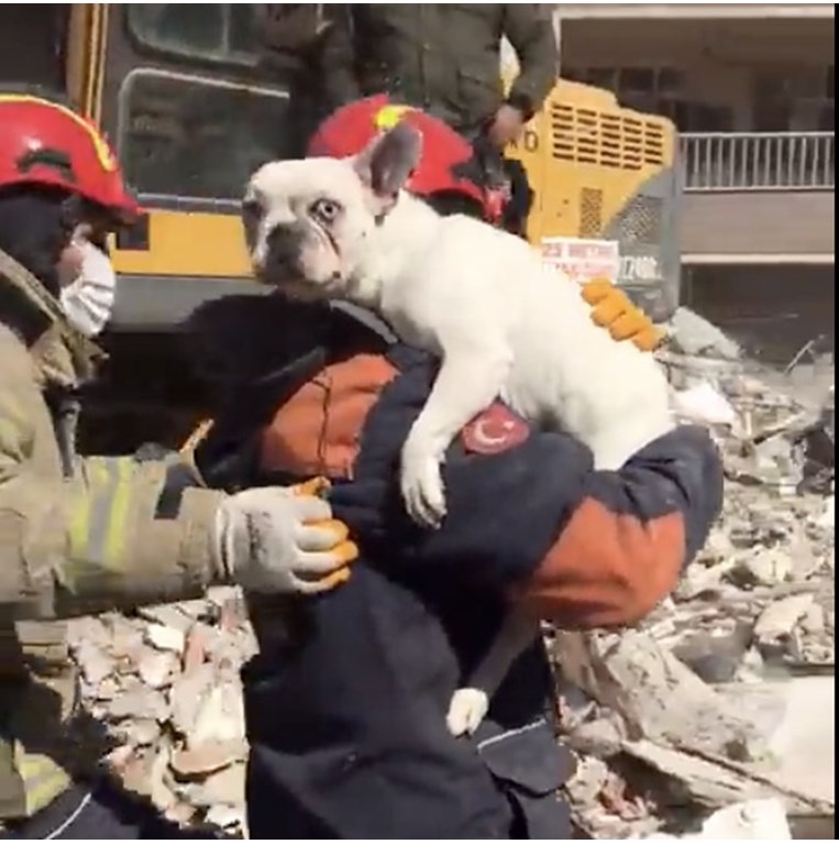 σεισμός Τουρκία