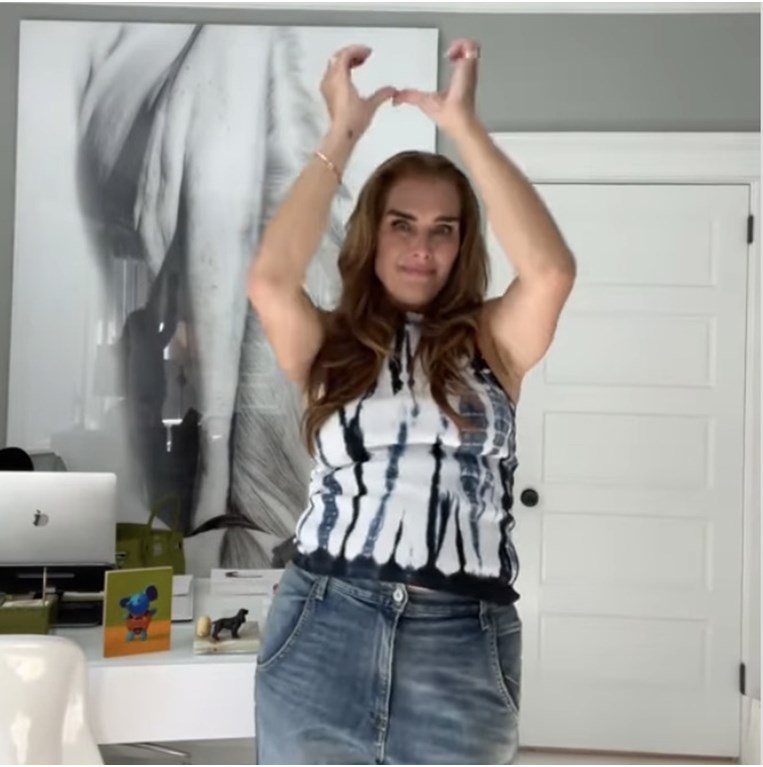 apple dance, μπρουκ σίλντς