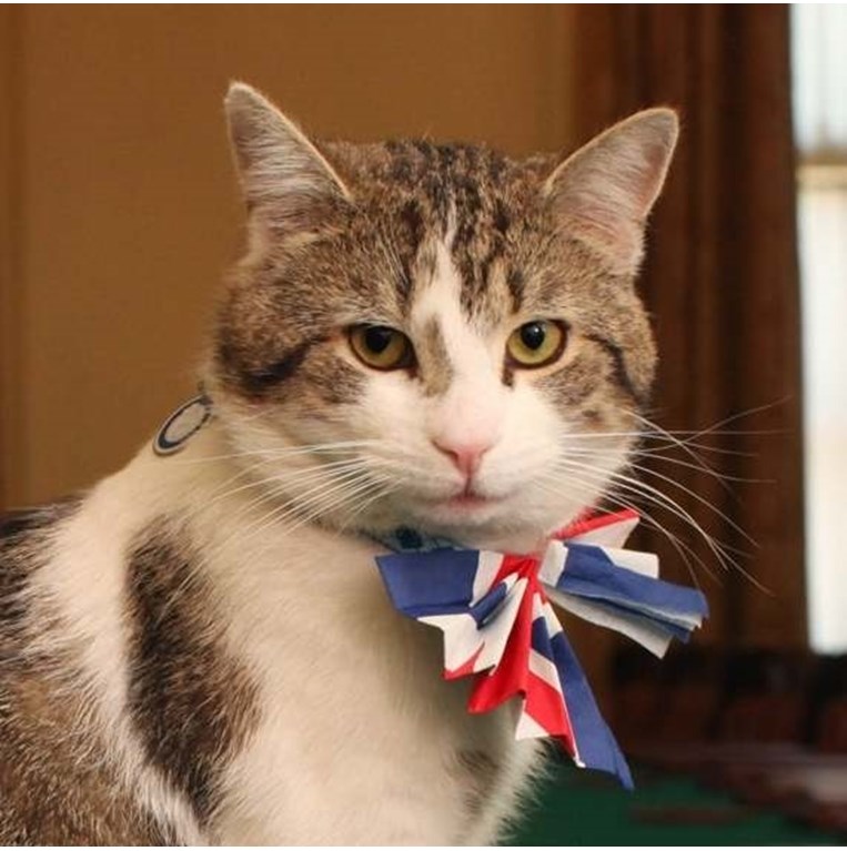 Λάρι, Downing Street