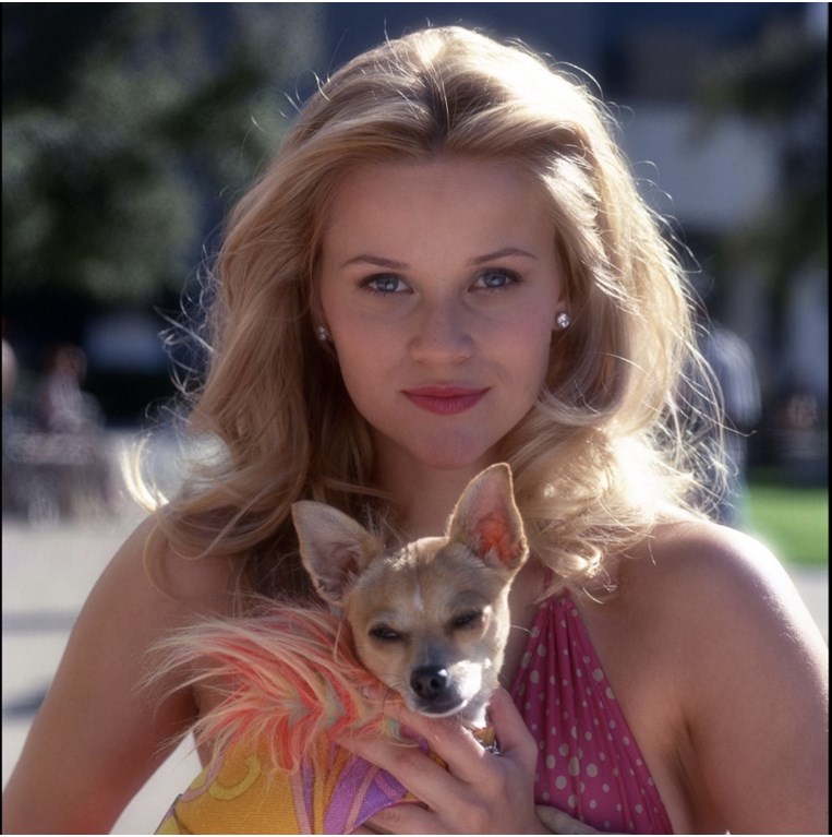 Ρις Γουίδερσπουν, Legally Blonde