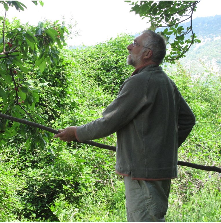 Πίτερ Ανίρ: Ο Άγγλος που συλλέγει ελληνικά ηχοτοπία- από τη βοή των μελισσών ως τις ζαγοριανές μελωδίες
