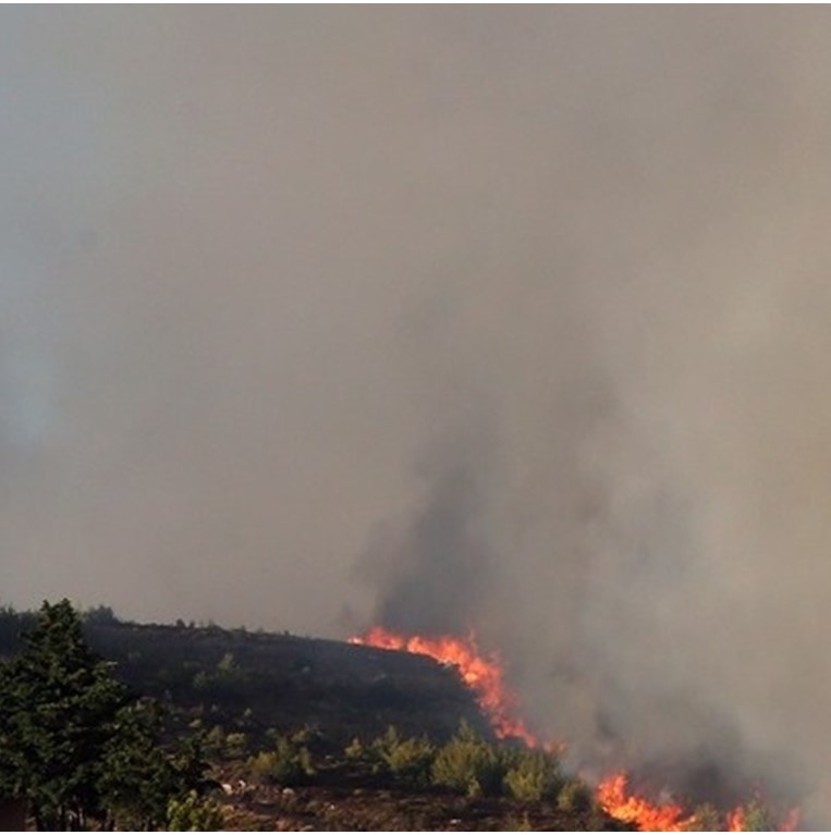φωτιές αττική