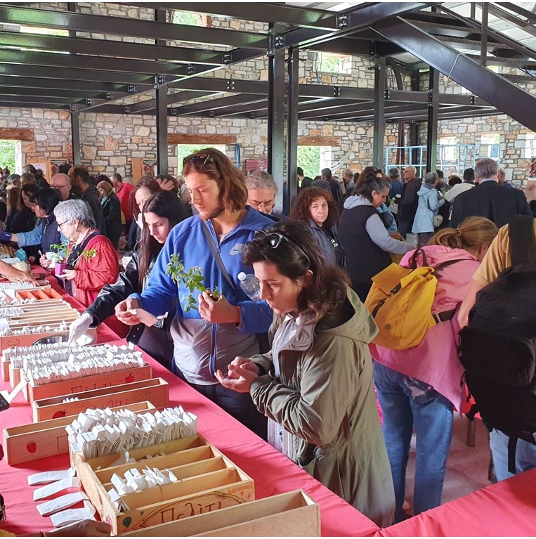 Γιορτή Πελίτι