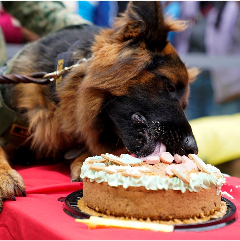 Αρκάδας, Μεξικό