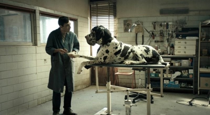 Dogman: Αυτή η ιταλική ταινία θα συζητηθεί πολύ φέτος