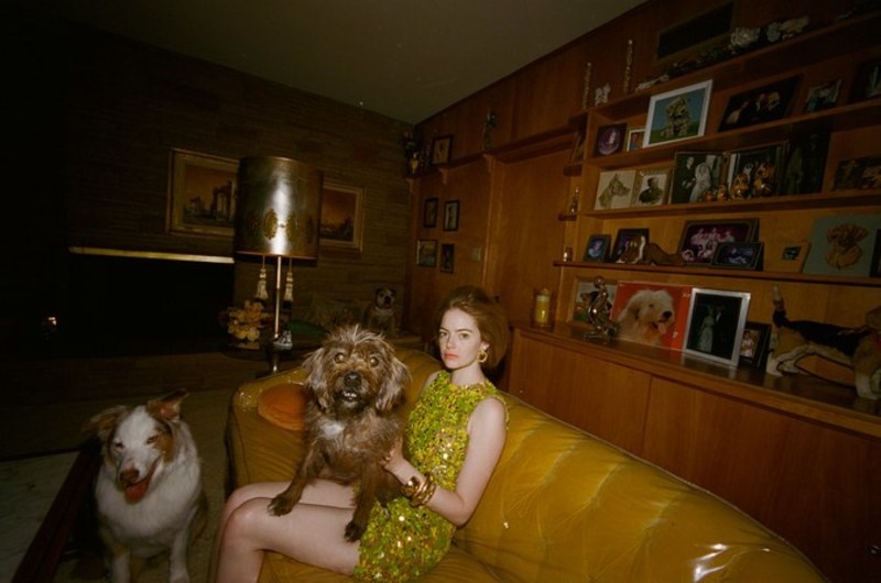 Νέος ρόλος για την Έμμα Στόουν: Σε εκπληκτική φωτογράφιση μόδας του Λάνθιμου ως Αμερικανίδα dog lady