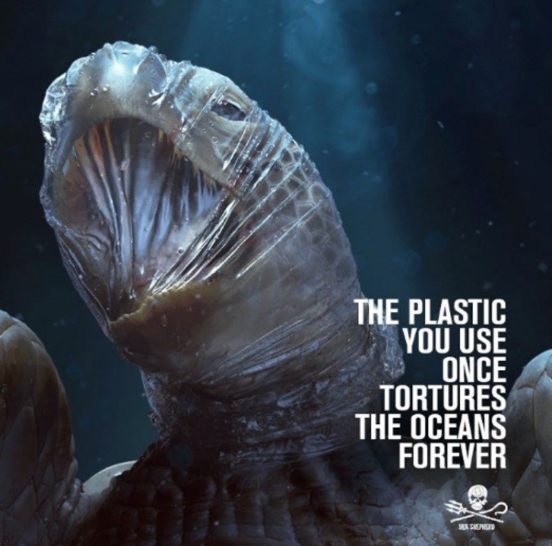 Η διαφήμιση με τα ζώα της θάλασσας που πνίγονται από τα πλαστικά ανατριχιάζει 