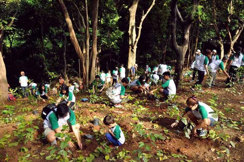 Νόμος ζωής: Στις Φιλιππίνες για να πάρει απολυτήριο κάθε μαθητής πρέπει να φυτεύσει 10 δέντρα 
