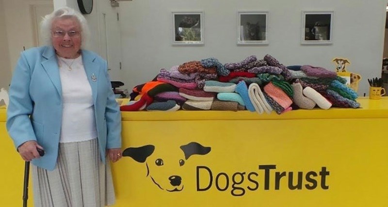 Είναι έμπνευση: Η 89χρονη που έχει πλέξει 450 κουβέρτες για τα αδέσποτα σκυλιά - και συνεχίζει